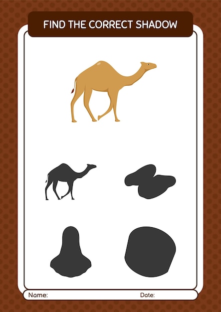 Discover the Camel's True Shadow: A Fun Visual Puzzle | Jiffy Designs