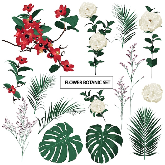 Vibrant Botanical Illustration Collection with Diverse Floral Elements ...