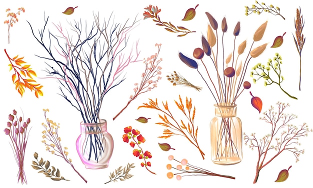 Vibrant Autumn Foliage and Botanical Elements Collection | Jiffy Designs