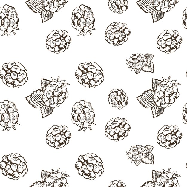 Delicate Bramble Berries: A Monochrome Botanical Illustration | Jiffy ...