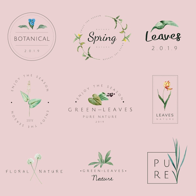 Botanical Spring Leaf and Floral Emblem Collection | Jiffy Designs