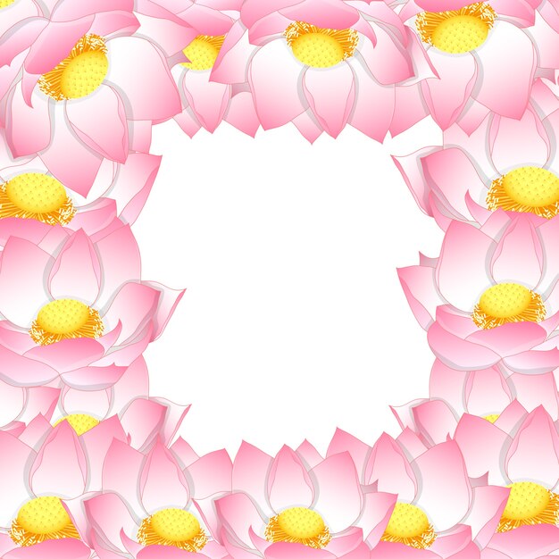 Delicate Floral Frame of Radiant Pink Lotus Blossoms | Jiffy Designs