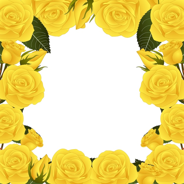 Vibrant Yellow Rose Floral Frame with White Background | Jiffy Designs