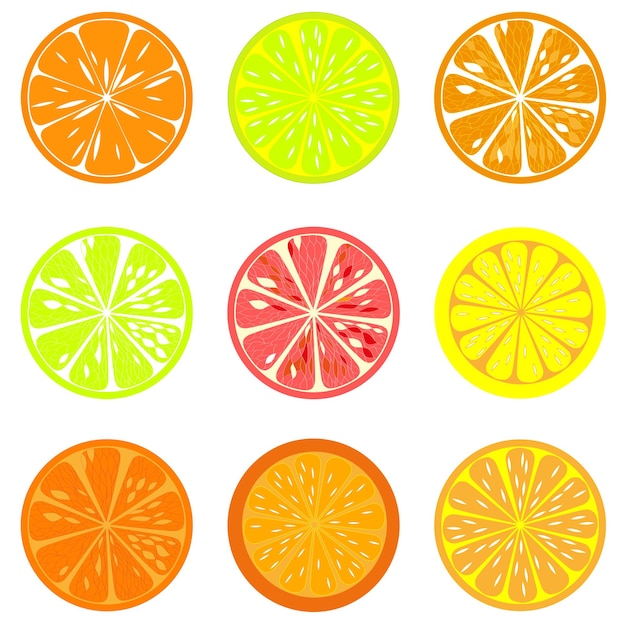 Vibrant Citrus Fruit Slices Collection in Diverse Hues | Jiffy Designs