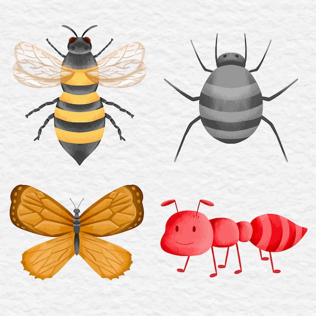 Vibrant Collection of Whimsical Insect Illustrations | Jiffy Designs