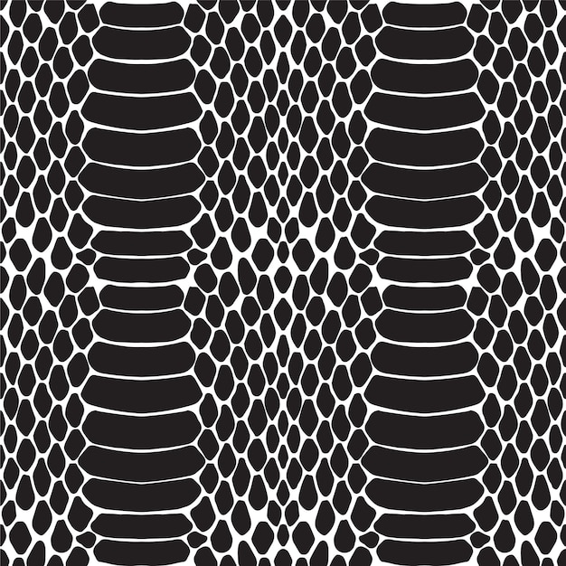 Striking Reptilian Texture: Captivating Black and White Snake Skin ...