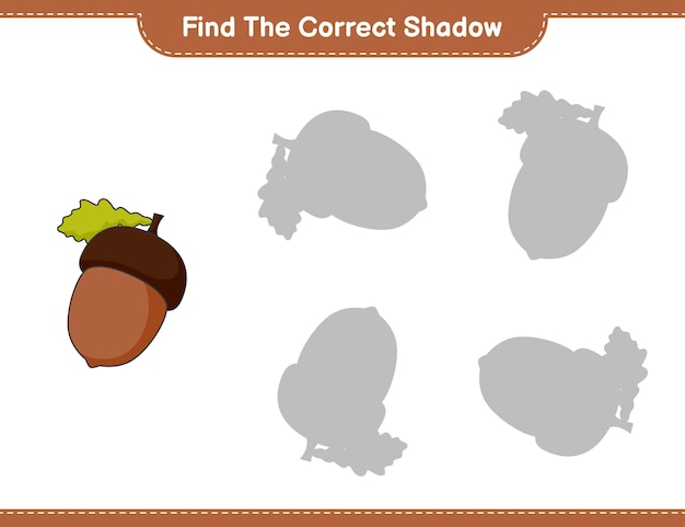 Discover the Matching Acorn Shadow in this Visual Puzzle | Jiffy Designs