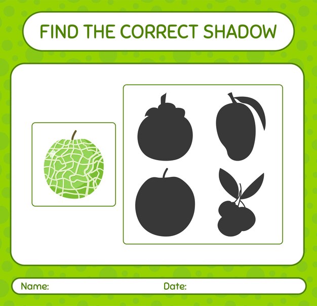 Vibrant Green Melon and Assorted Fruit Silhouettes | Jiffy Designs
