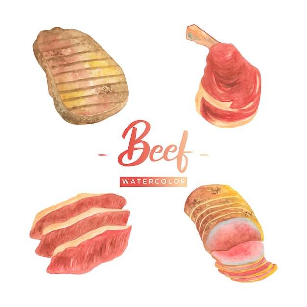 Delectable Beef Cuts: A Savory Watercolor Showcase | Jiffy Designs