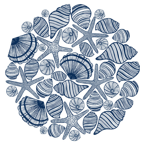 Vector Hand Drawn Round Composition With Shells And Starfishes | Jiffy ...