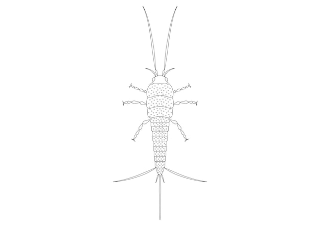 Detailed Sketch of a Grasshopper with Intricate Patterns | Jiffy Designs