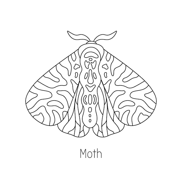 Intricate Patterns of the Elegant Moth | Jiffy Designs