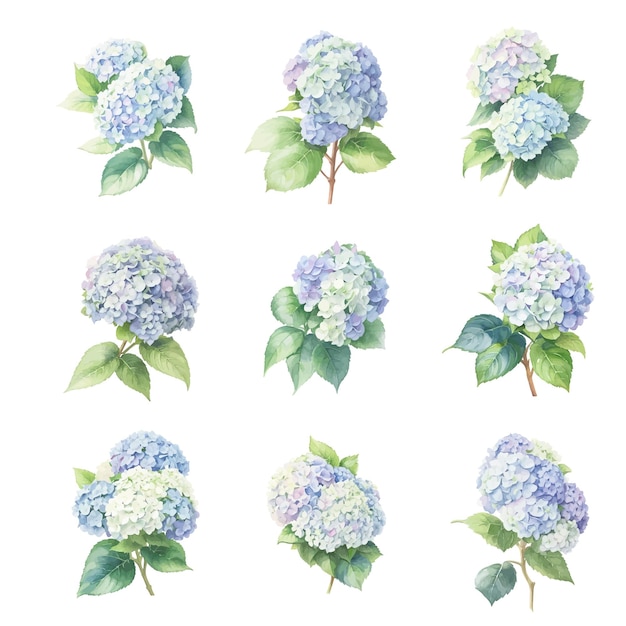 Elegant Collection of Vibrant Blue Hydrangea Floral Bouquets | Jiffy ...