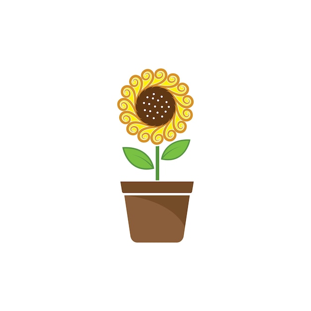 Vibrant Sunflower in Earthy Terracotta Pot | Jiffy Designs