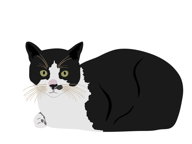 Black And White Cute Cat Vector Illustration Isolated On White ...