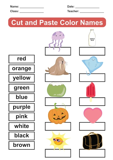 Vibrant Color Identification and Matching Activity | Jiffy Designs