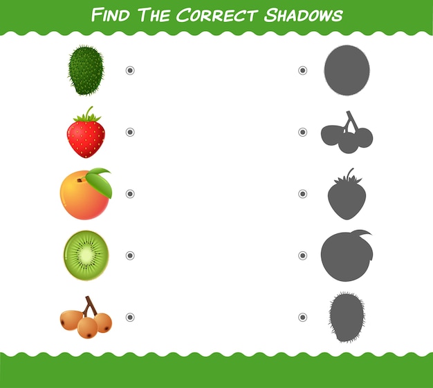 Matching Shadows of Vibrant Fruits and Produce | Jiffy Designs