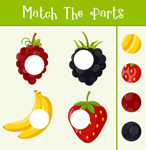 Vibrant Fruit Collection: Match the Parts for a Playful Design | Jiffy ...