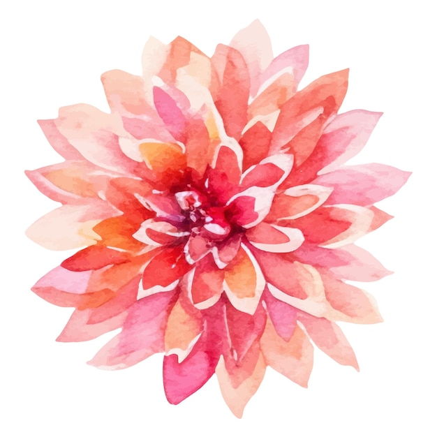 Vibrant Floral Bloom in Shades of Pink and Orange | Jiffy Designs