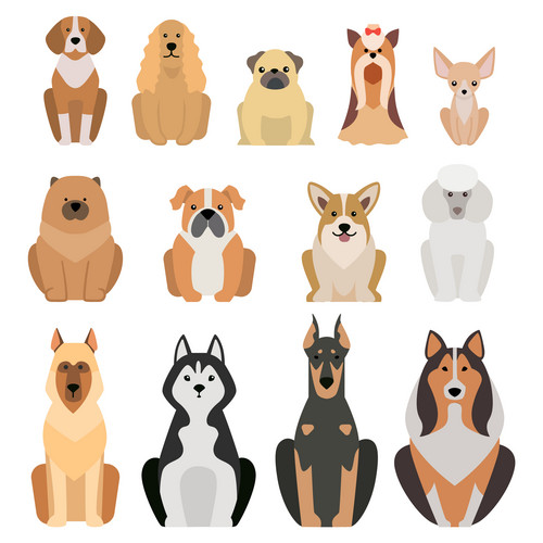 Vector Illustration Of Different Dogs Breed Isolated On White ...