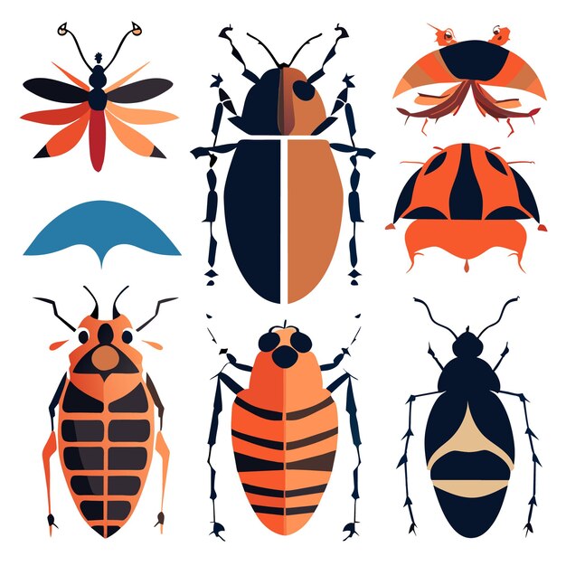 Vibrant Collection of Diverse Insect Illustrations | Jiffy Designs