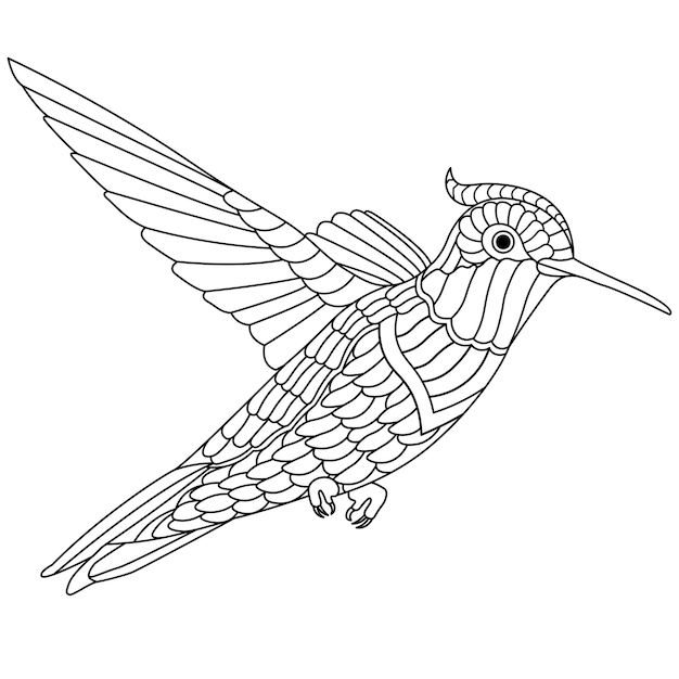 Intricate Hummingbird Design with Geometric Patterns | Jiffy Designs