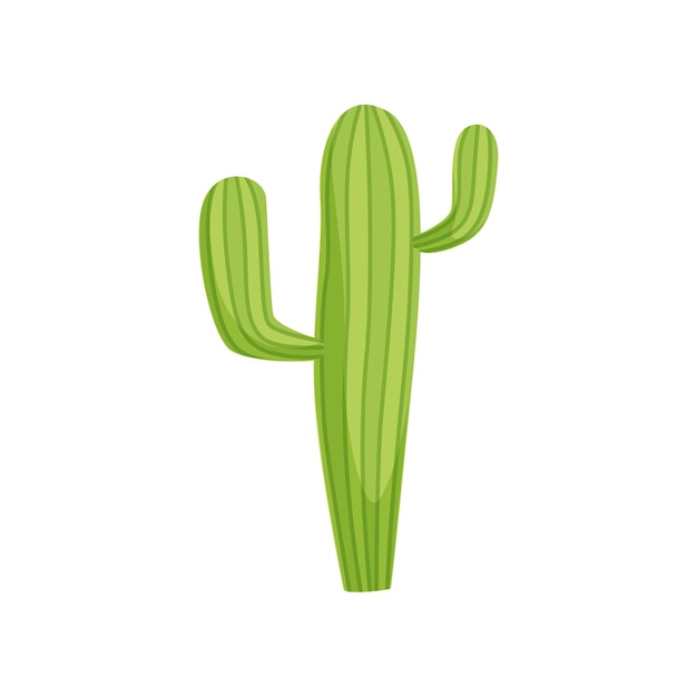 Vibrant Green Cactus Illustration for Versatile Design Uses | Jiffy Designs