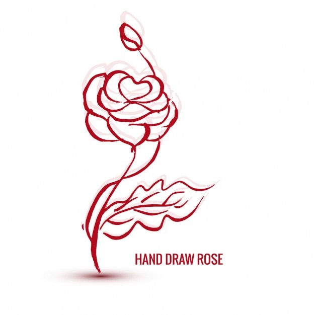 Elegant Hand-Drawn Rose Illustration with Flowing Calligraphic Lines ...