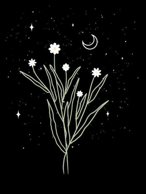 Delicate Floral Silhouettes Under Starry Night Sky | Jiffy Designs