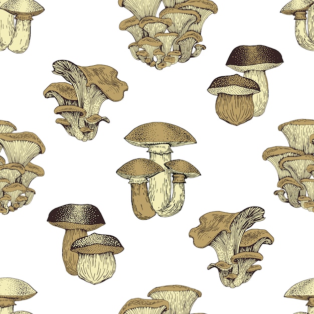 Vintage Mushroom Pattern with Detailed Fungi Illustrations | Jiffy Designs