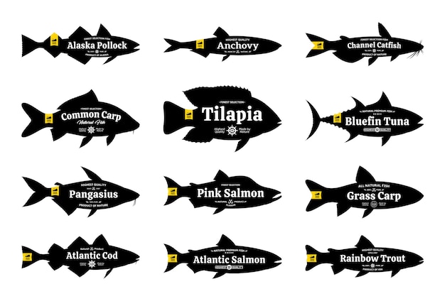 Diverse Collection of Detailed Fish Silhouettes with Descriptive Labels ...