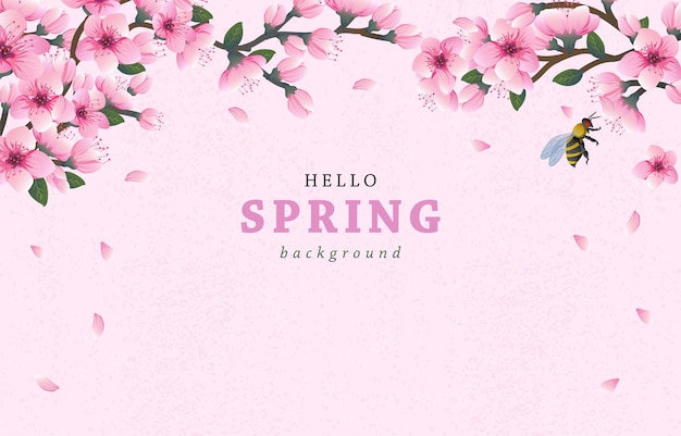 Delicate Cherry Blossoms Celebrate the Arrival of Spring | Jiffy Designs