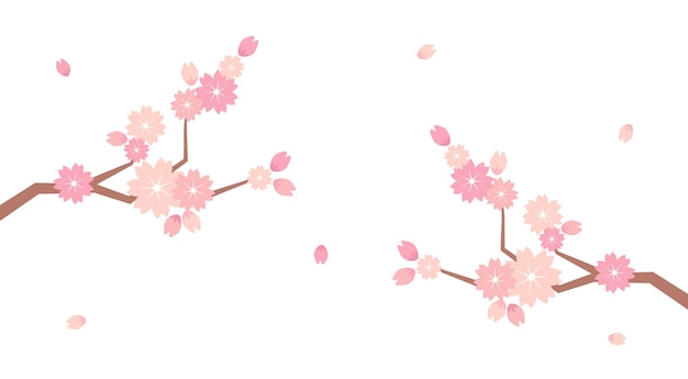 Delicate Pink Cherry Blossom Branches with Falling Petals | Jiffy Designs