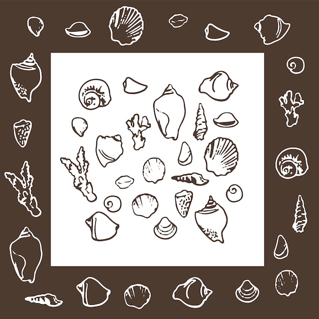 Diverse Collection of Detailed Shell Illustrations | Jiffy Designs