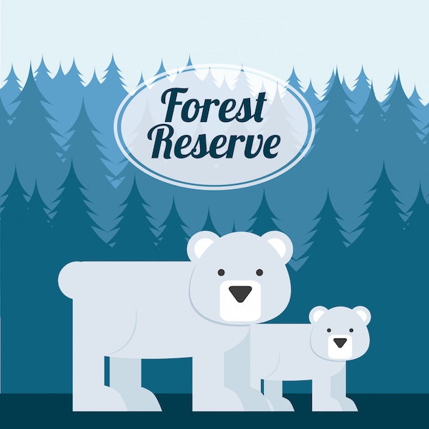 Adorable Polar Bear Duo in Scenic Forest Reserve Illustration | Jiffy ...