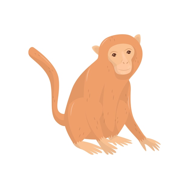 Charming Capuchin Monkey Illustration in Vibrant Hues | Jiffy Designs