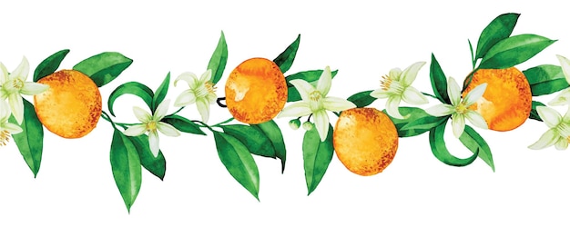 Vibrant Orange Citrus Fruits and Delicate Floral Accents | Jiffy Designs