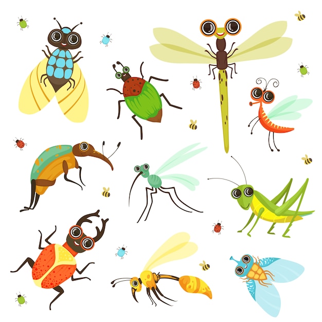Vibrant Collection of Whimsical Insect Illustrations | Jiffy Designs