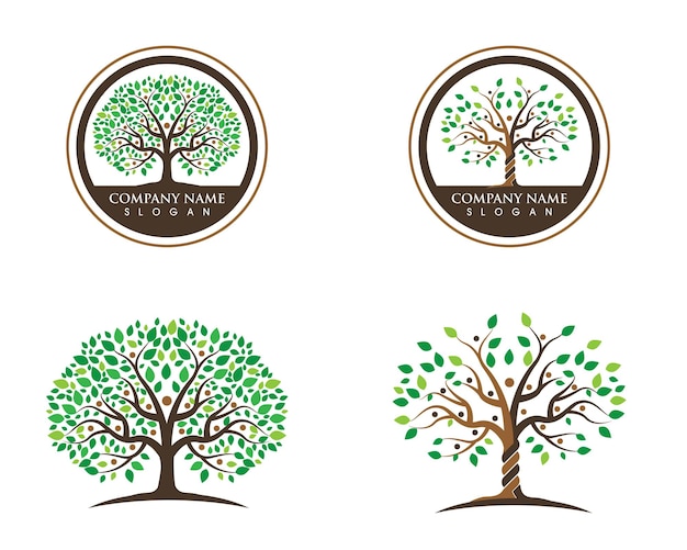 Diverse Tree of Life Illustrations with Circular Emblems | Jiffy Designs