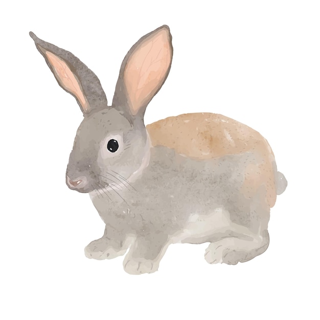 Fluffy Gray and White Rabbit with Curious Gaze | Jiffy Designs