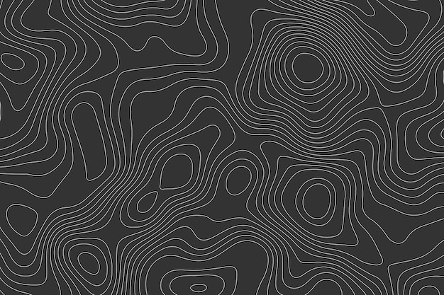 Captivating Contours: A Monochromatic Topographical Masterpiece | Jiffy ...