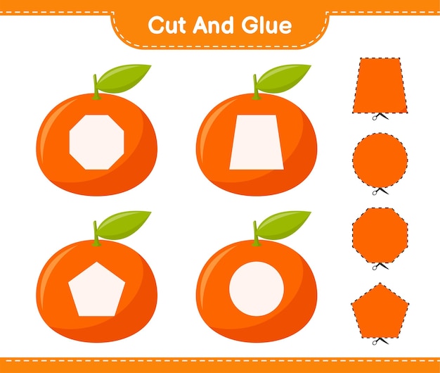 Vibrant Orange Citrus Fruit Collection for Versatile Design | Jiffy Designs