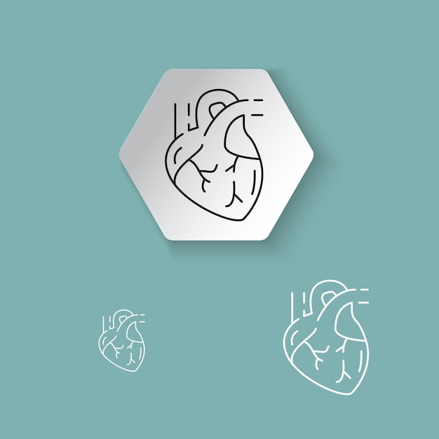 Minimalist Anatomical Heart Icon in Sleek Hexagon Design | Jiffy Designs