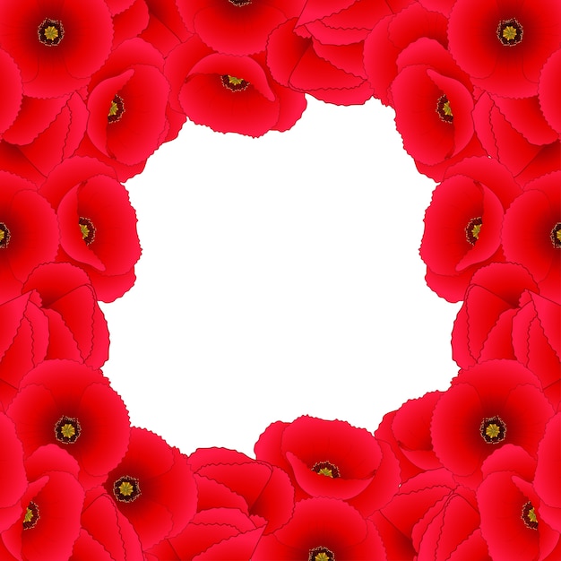 Vibrant Red Poppy Flower Frame with Centered White Space | Jiffy Designs