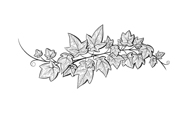 Elegant Floral Arrangement with Intricate Leaf Designs | Jiffy Designs