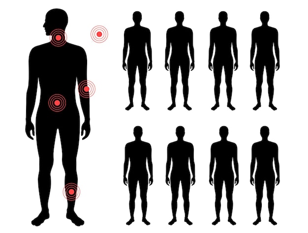 Detailed Anatomical Silhouettes Highlighting Key Body Regions | Jiffy ...