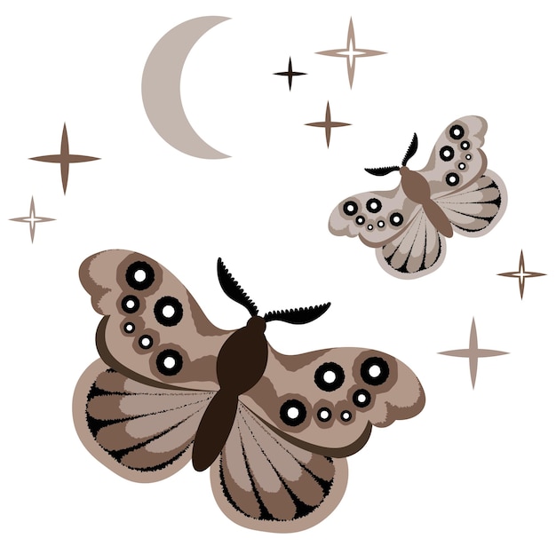 Whimsical Moths and Celestial Shapes Illustration | Jiffy Designs