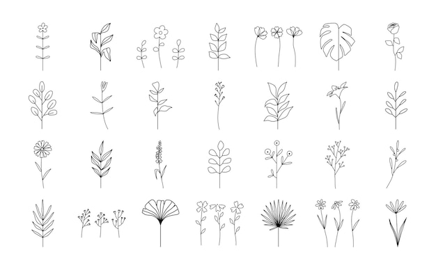 Elegant Botanical Elements Collection for Versatile Design Applications ...