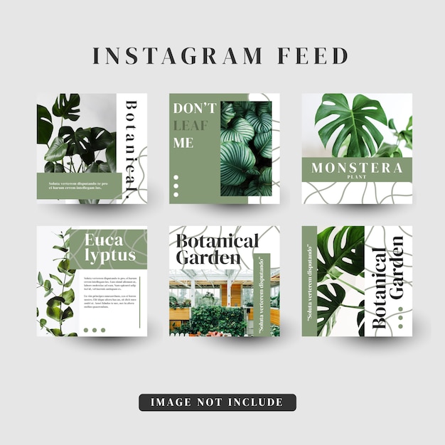 Botanical Illustrations and Typography for Nature-Inspired Designs ...