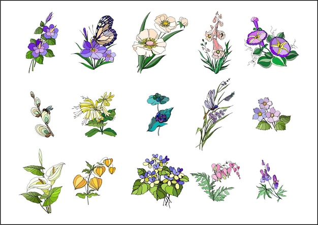 Vibrant Collection of Botanical Illustrations Featuring Diverse ...